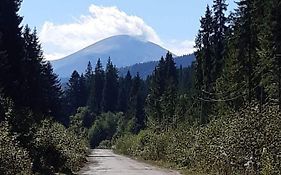 Говерлянка